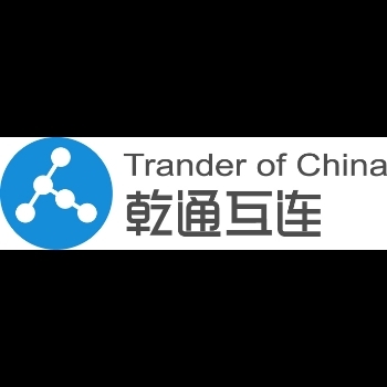 金梦雪 信息技术咨询服务的领航者